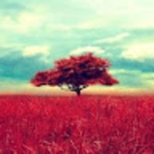 Meet your Posher, Vivian